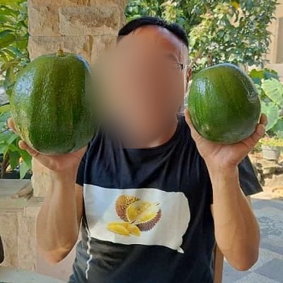 Tim memanen alpukat