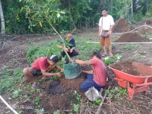 Tim menanam bibit di lapangan